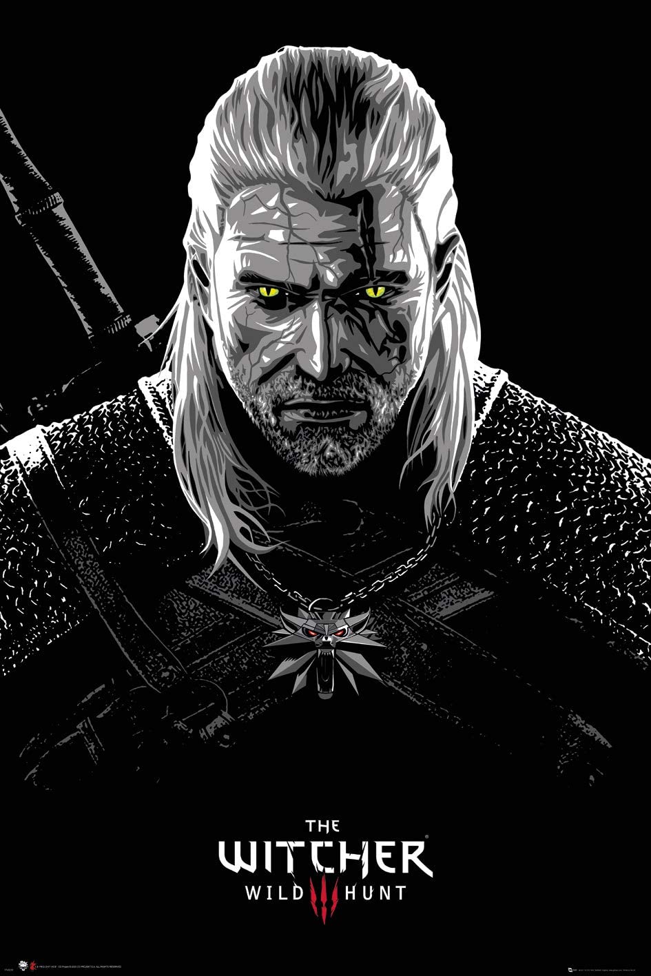 The Witcher Toxicity Poisoning Plakát (FP4939)