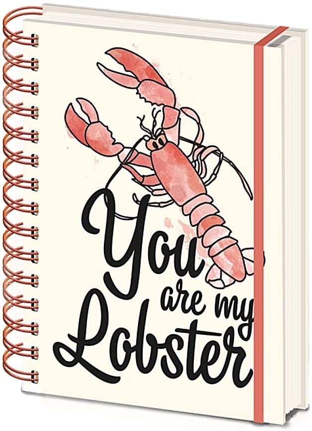 Friends You Are My Lobster Notebook A5 (jegyzetfüzet)