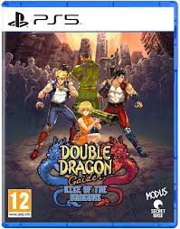 Double Dragon Gaiden Rise of the Dragons