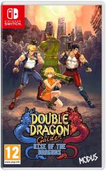 Double Dragon Gaiden Rise of the Dragons